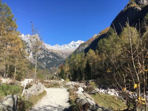 IMG-20171019-WA0026